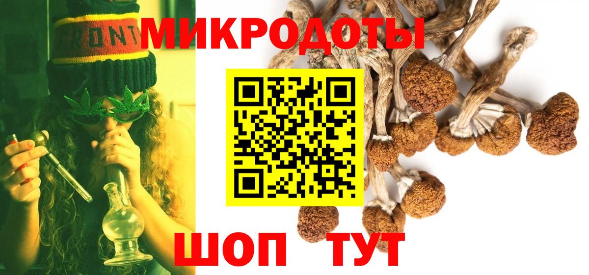 Галлюциногенные грибы Cubensis  Вход с VPN  Камышин 