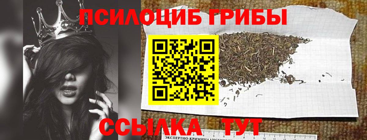 Псилоцибиновые грибы GOLDEN TEACHER Камышин